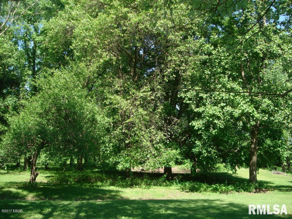 375 Locust Road Ozark, IL 62972 - Photo 38 of 41
