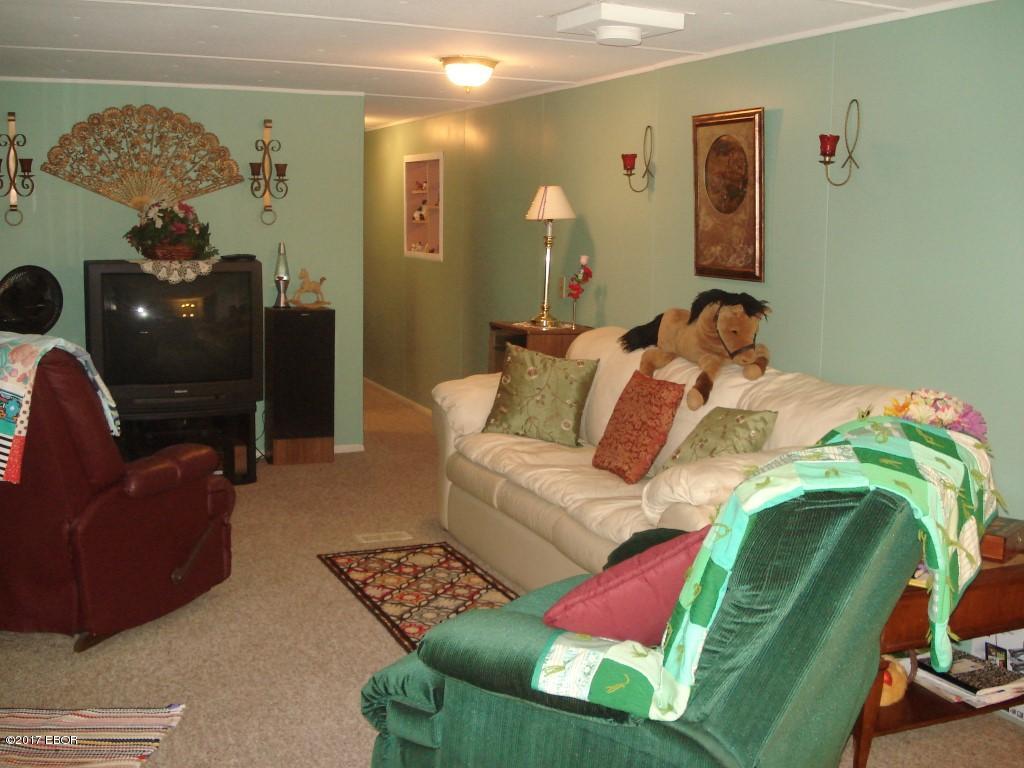 375 Locust Road Ozark, IL 62972 - Photo 4 of 41