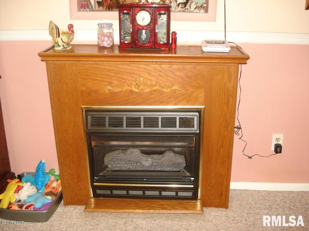 375 Locust Road Ozark, IL 62972 - Photo 6 of 41