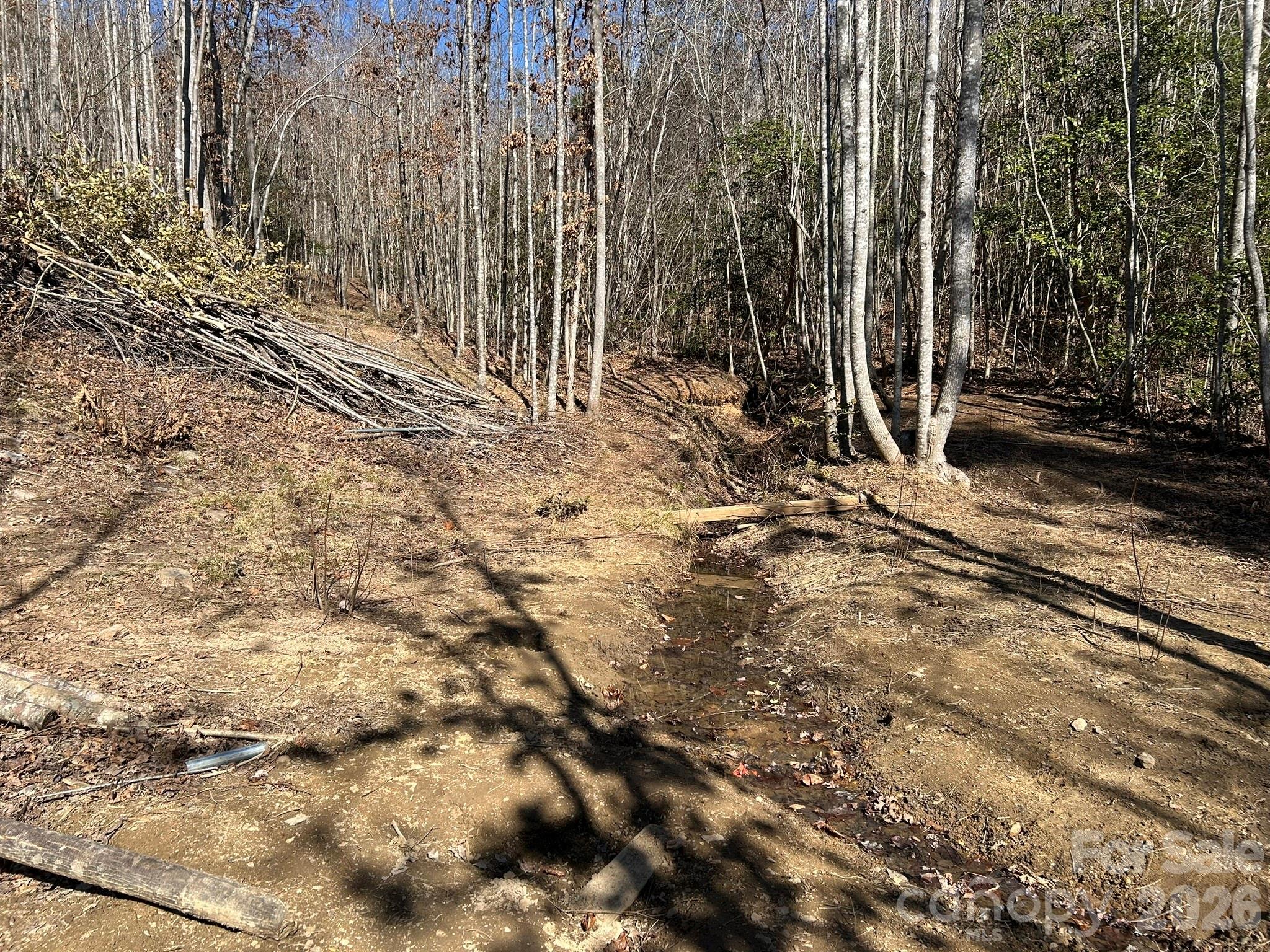 3343 Hollis Road Ellenboro, NC 28040 - Photo 46 of 48 a view of a backyard of the house