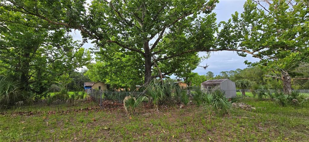 6150 Southwest 126th Avenue Cedar Key, FL 32625 - Photo 7 of 12