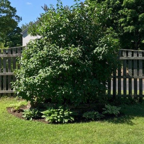 7 Harris Street Springvale, ME 04083 - Photo 22 of 24 Yard