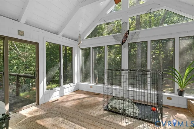 a view of a yard with potted plants and large trees