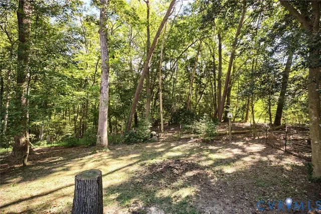 a view of a tree in the middle of a yard