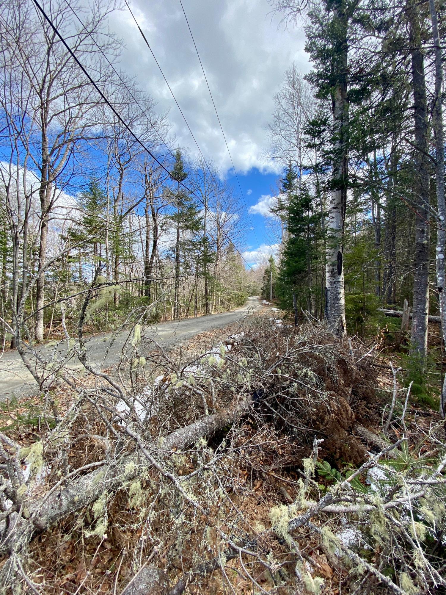 M34-l44.2a M34-l44.2a Curley Road Rangeley, ME 04970 - Photo 11 of 14 curley road lot A 03