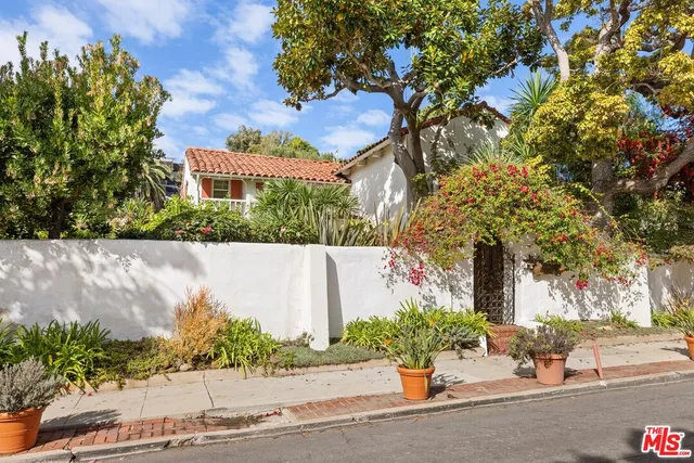 a garden covered with tall trees