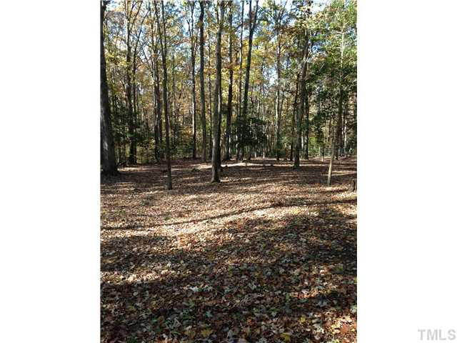 6619 Moores Mill Road Rougemont, NC 27572 - Photo 25 of 25 Photo 25