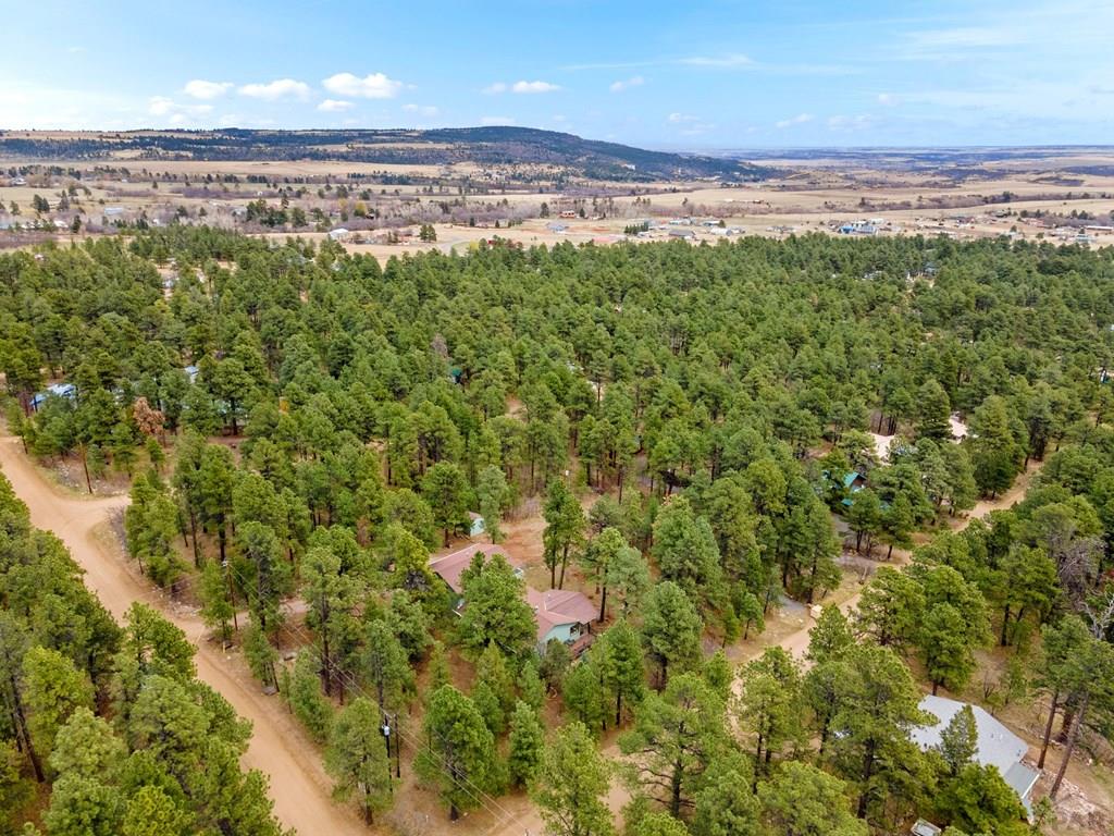 8145 Birch Drive Rye, CO 81069 - Photo 42 of 44