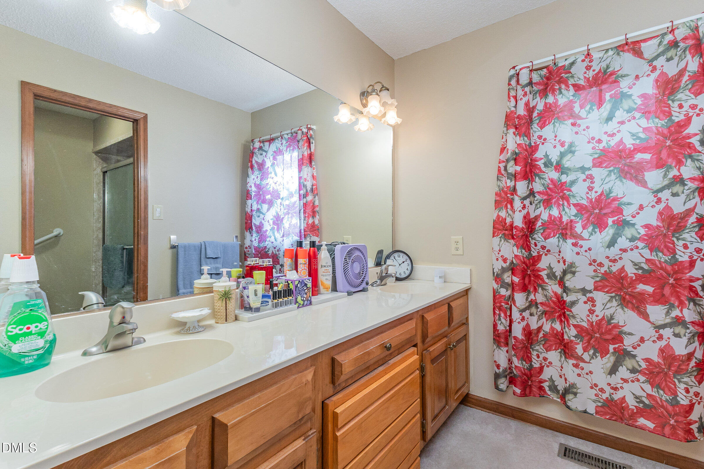 390 Sandy Ridge Road Dunn, NC 28334 - Photo 31 of 45 a bathroom with a sink vanity and a mirror