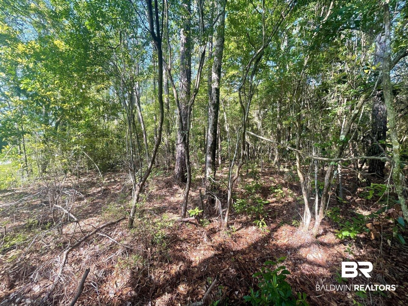 0 Bellingrath Road Coden, AL 36523 - Photo 9 of 11