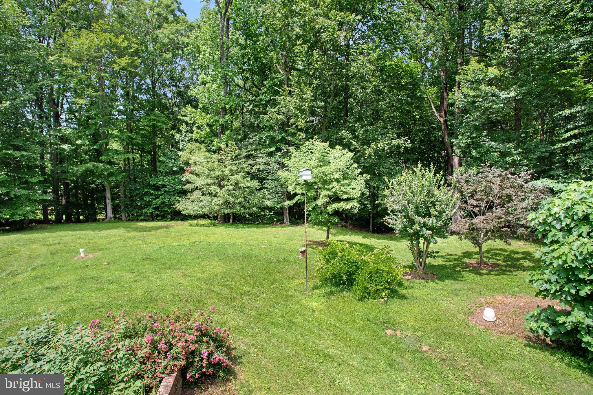 1021 Carson Drive Huntingtown, MD 20639 - Photo 30 of 33 a big yard with lots of green space and trees