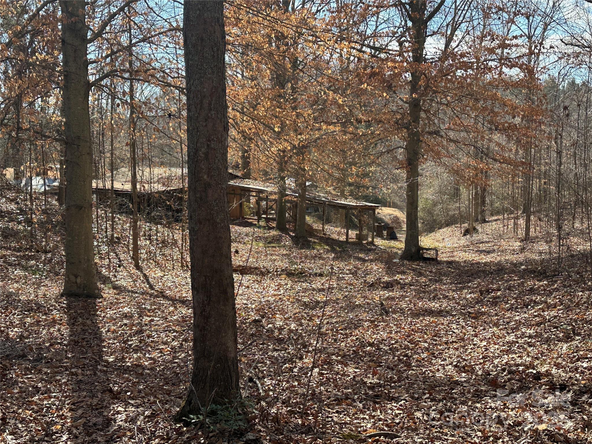 526 Lentz Road Marion, NC 28752 - Photo 14 of 17