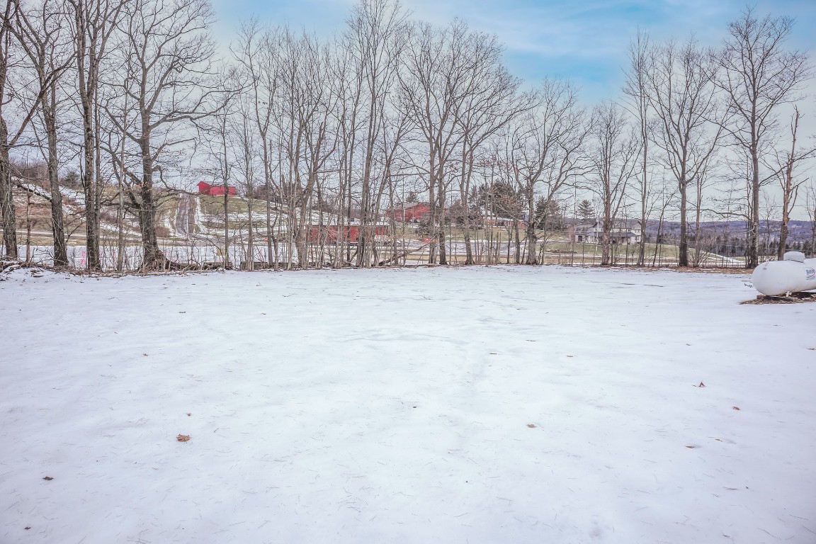 271 Treadwell Road Binghamton, NY 13905 - Photo 4 of 23