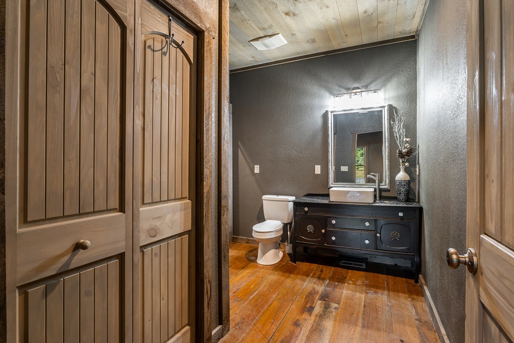 2637 River Road Mineral Bluff, GA 30559 - Photo 18 of 67 a bathroom with a toilet a sink and mirror