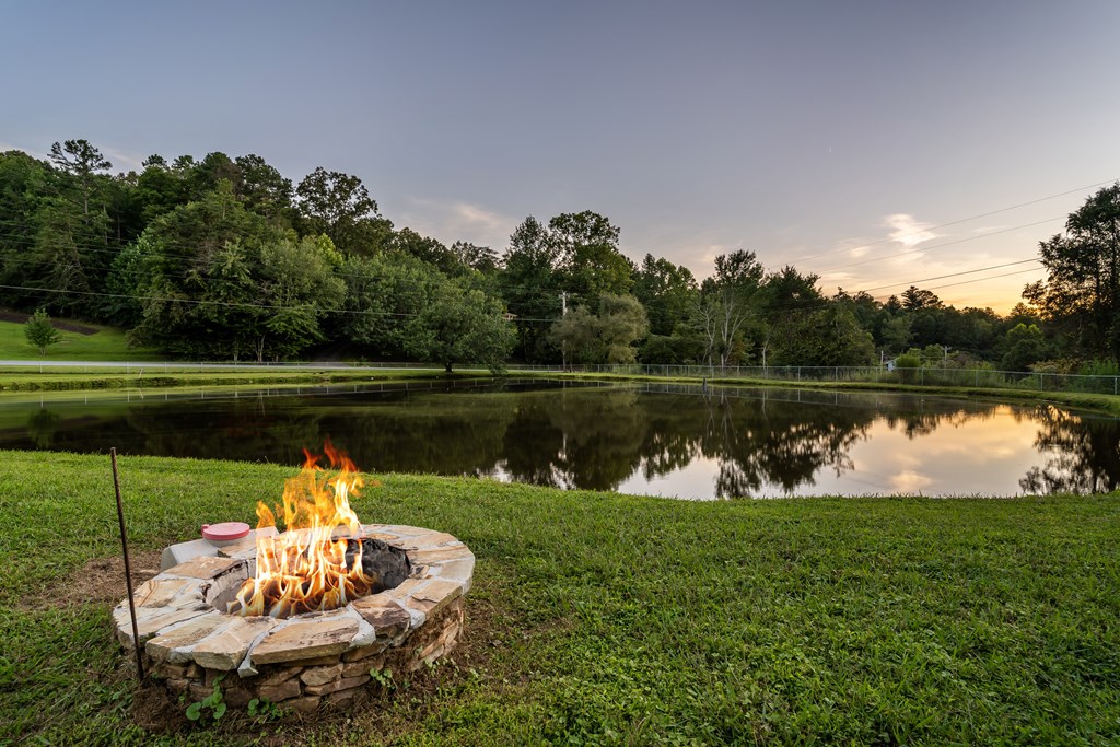 2637 River Road Mineral Bluff, GA 30559 - Photo 53 of 67 a lake view with a garden