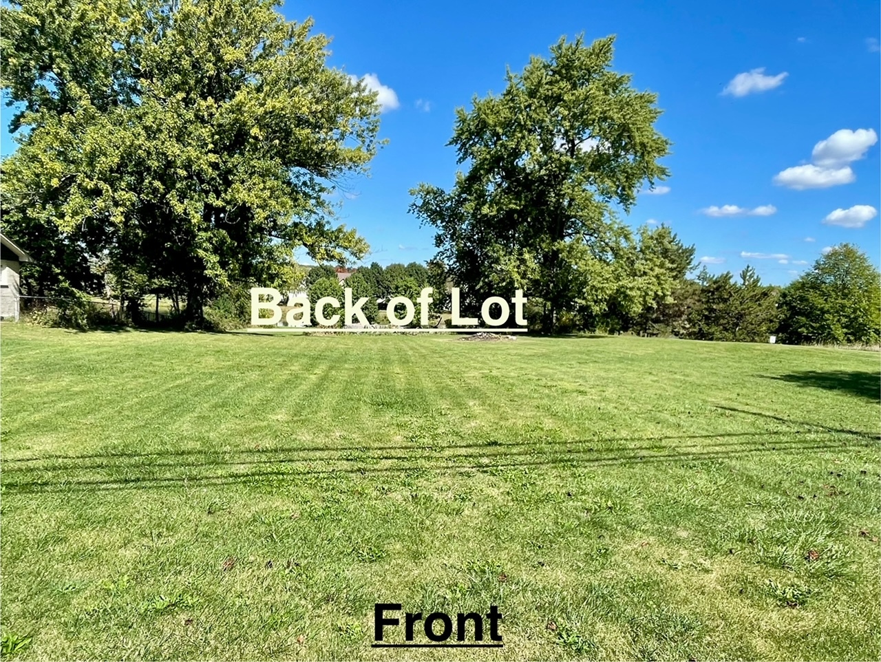 1740 Sheffer Road Aurora, IL 60505 - Photo 1 of 10 a view of a tree with a garden
