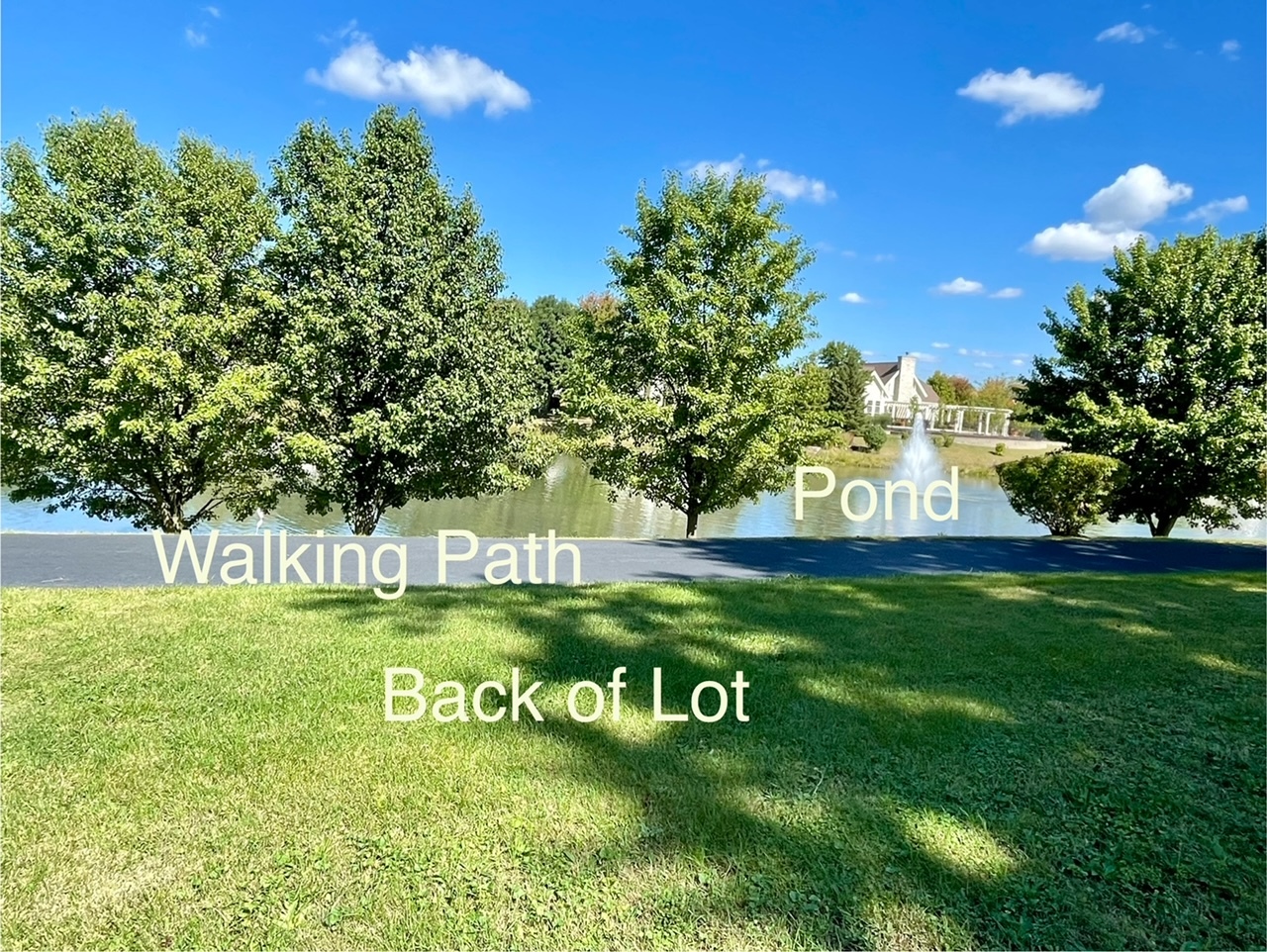 1740 Sheffer Road Aurora, IL 60505 - Photo 5 of 10 a green field with trees in the background