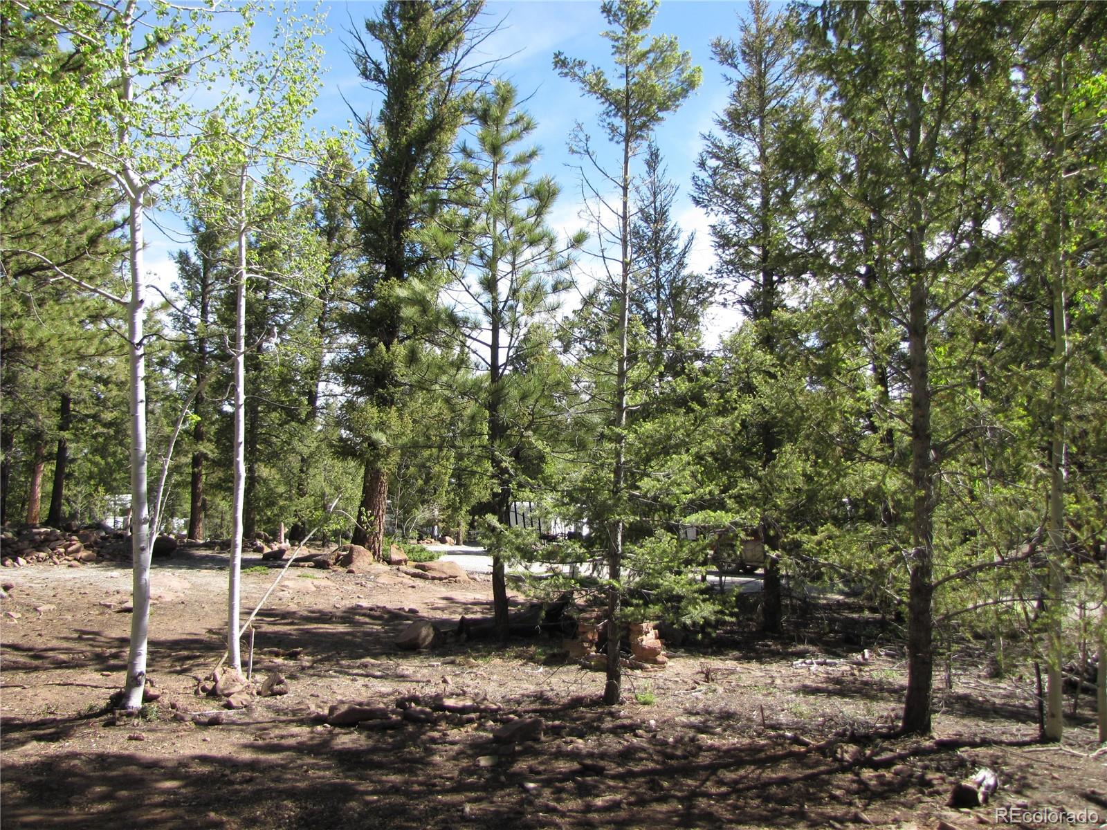 77 Pullman Loop Fairplay, CO 80440 - Photo 5 of 7