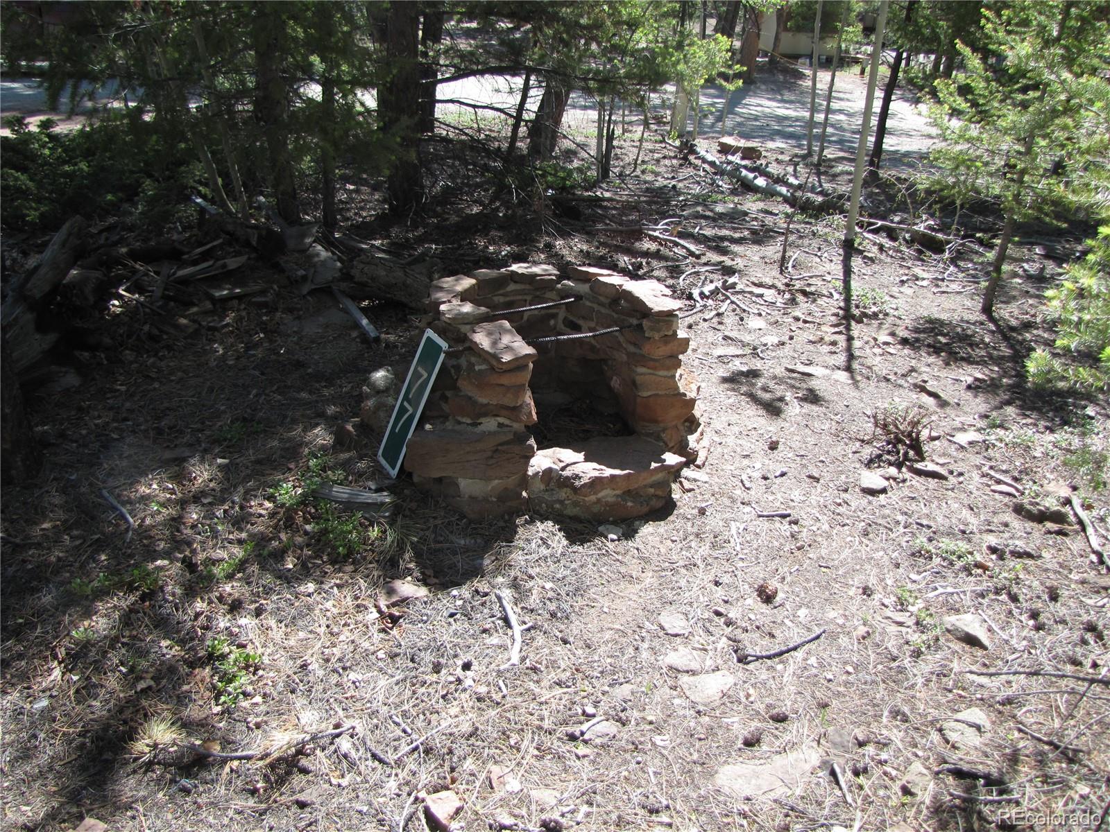 77 Pullman Loop Fairplay, CO 80440 - Photo 6 of 7