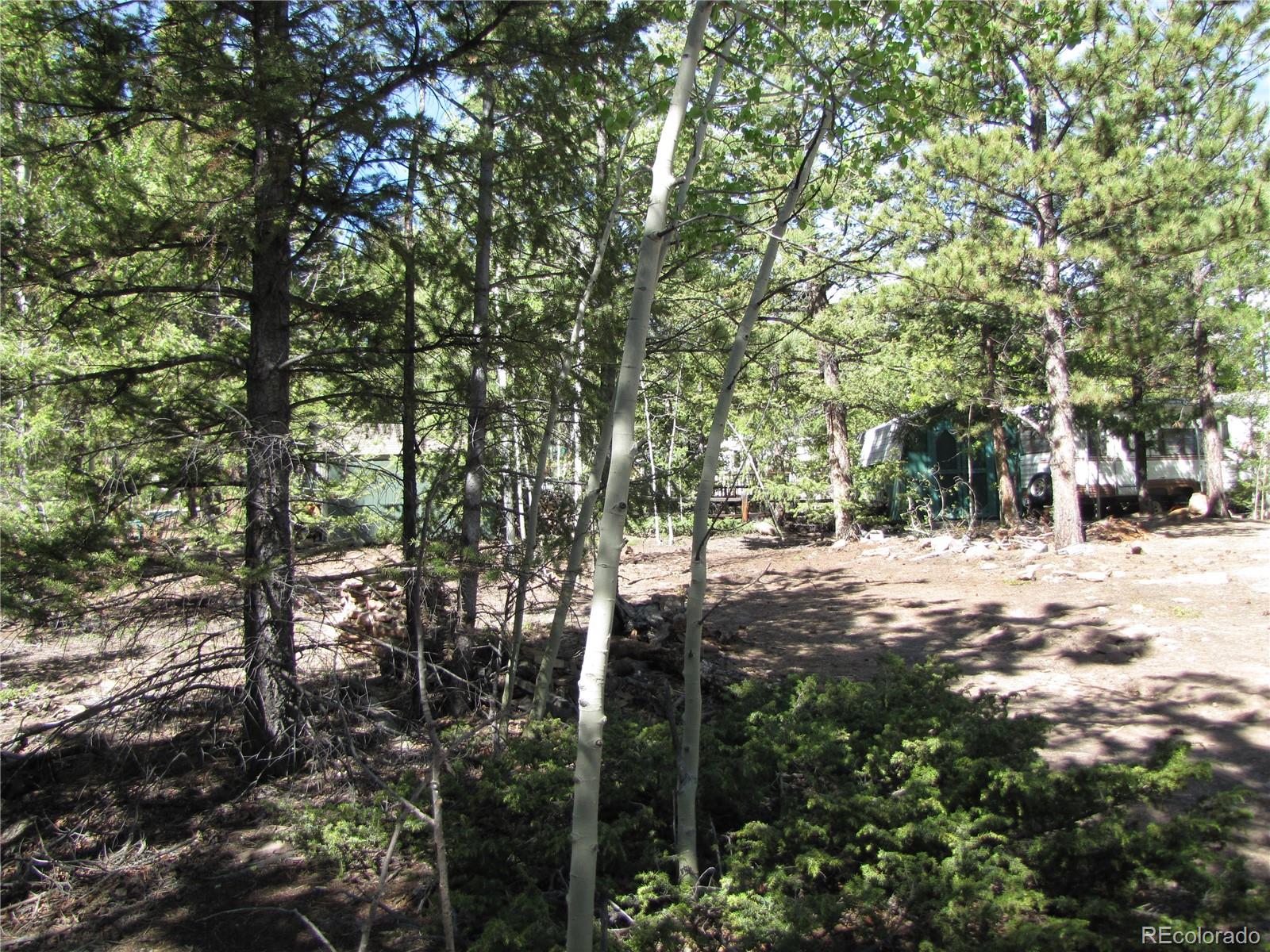 77 Pullman Loop Fairplay, CO 80440 - Photo 7 of 7