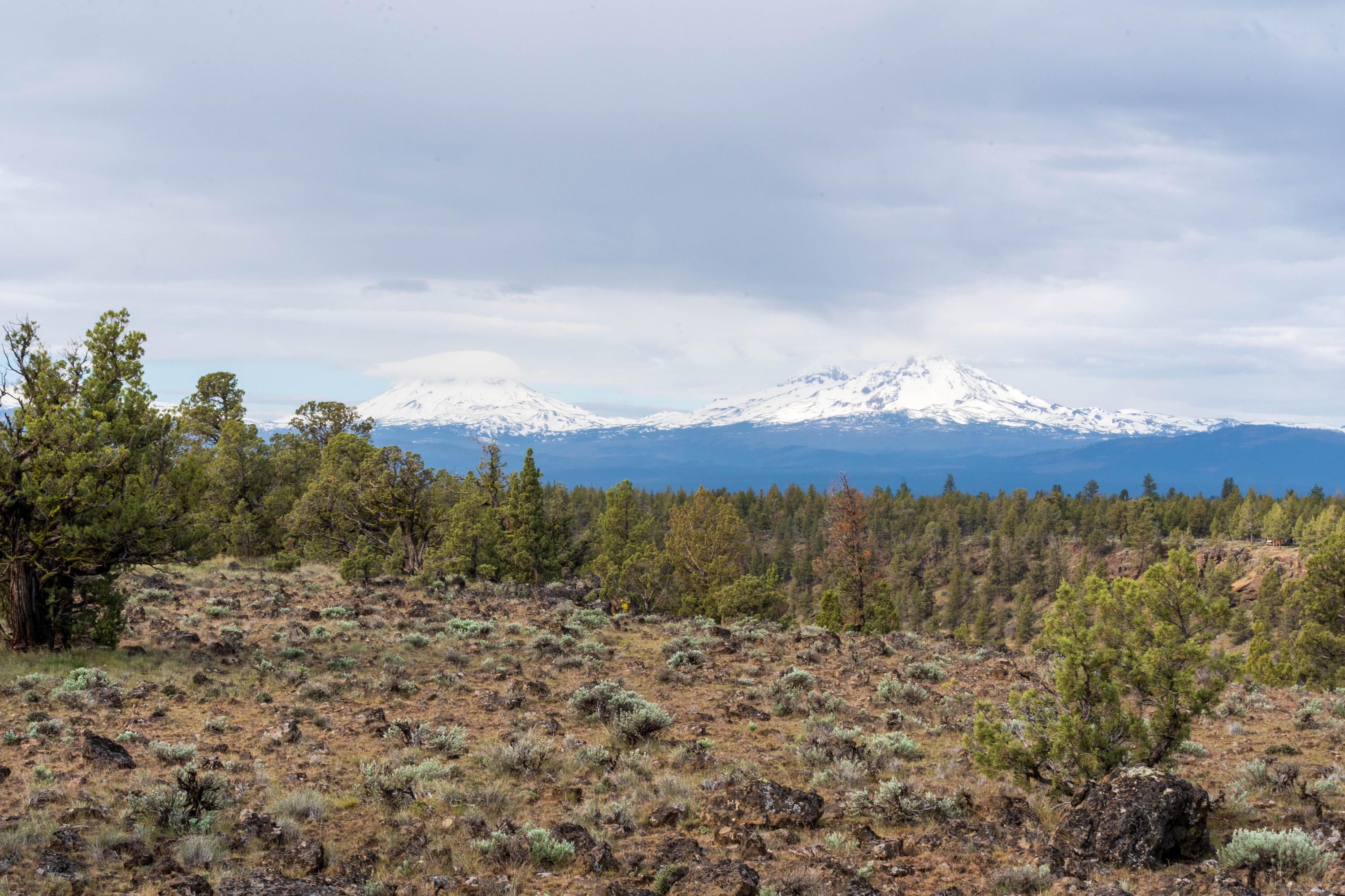 69740 McKenzie Canyon Road Sisters, OR 97759 - Photo 45 of 45 3 Sisters