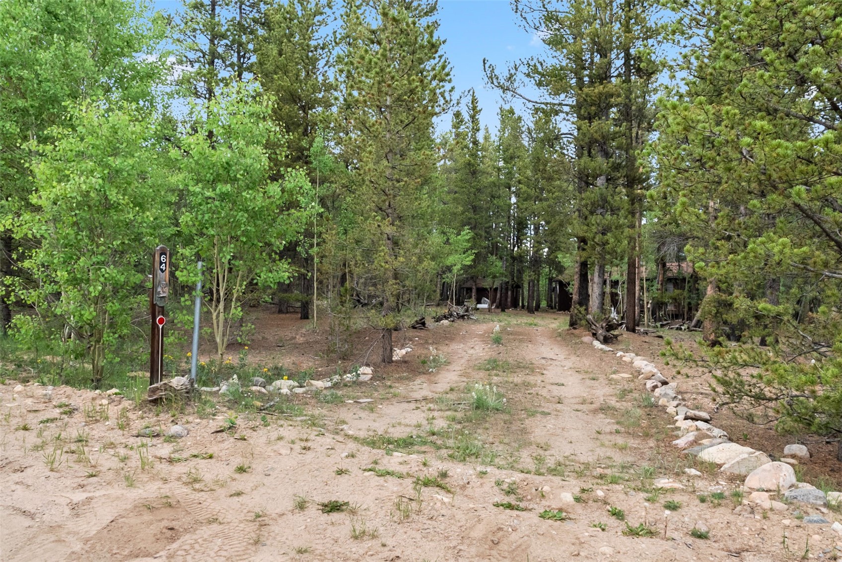 64 Skidoo Road Fairplay, CO 80440 - Photo 5 of 25