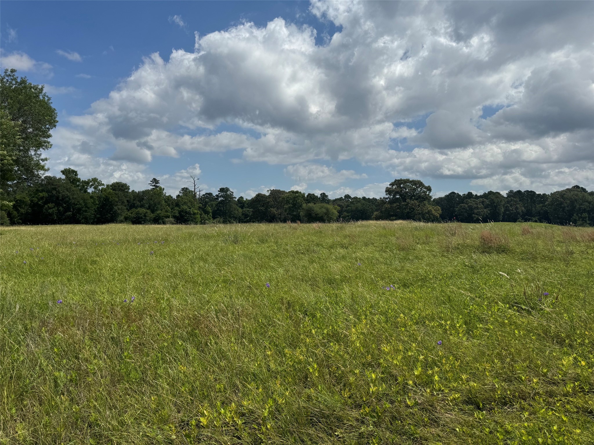 0 Richmond Circle Trinity, TX 75862 - Photo 3 of 6