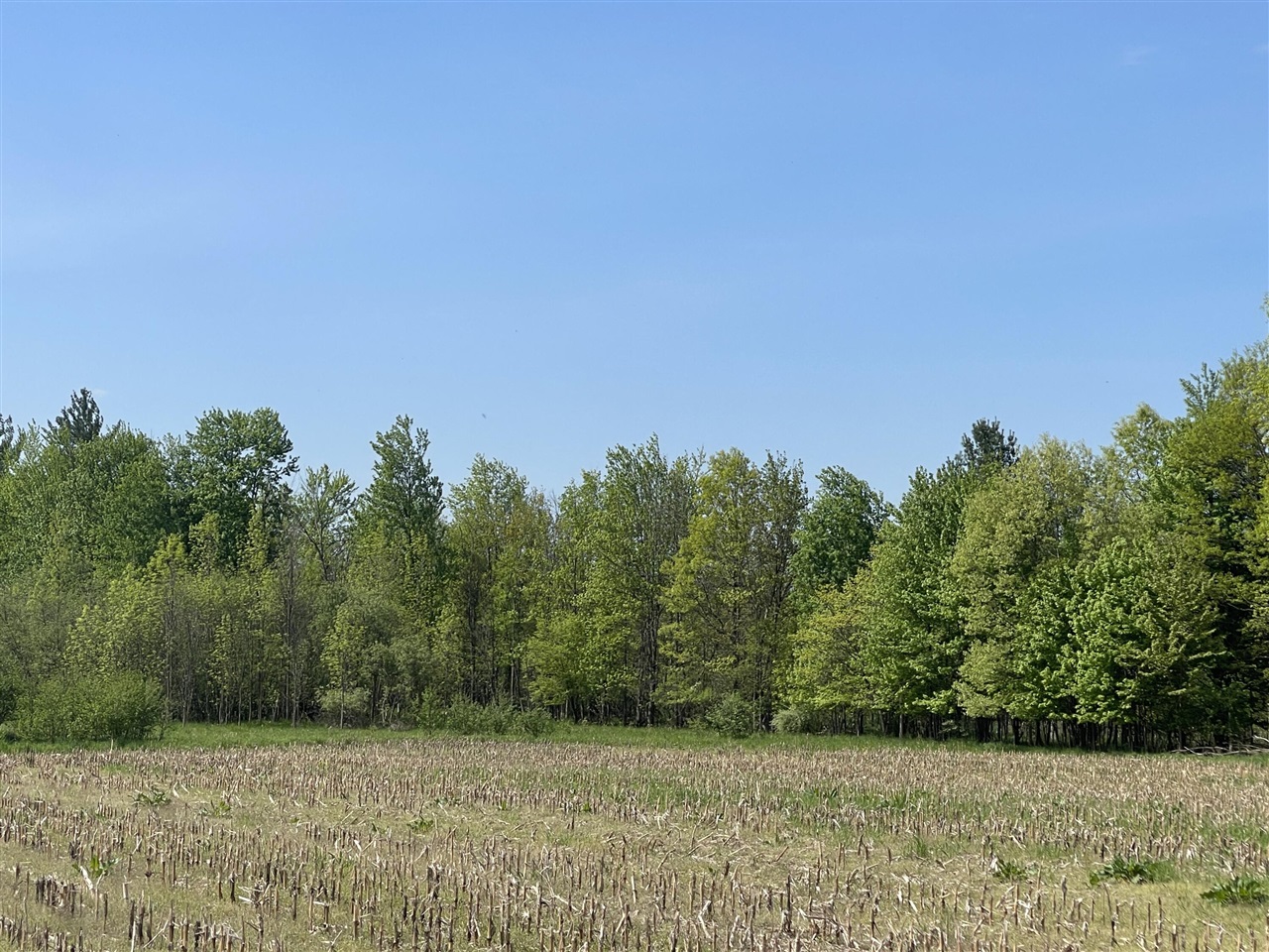 4514 22 Mile Road Northeast, Unit PARCEL 1 Sand Lake, MI 49343 - Photo 3 of 17