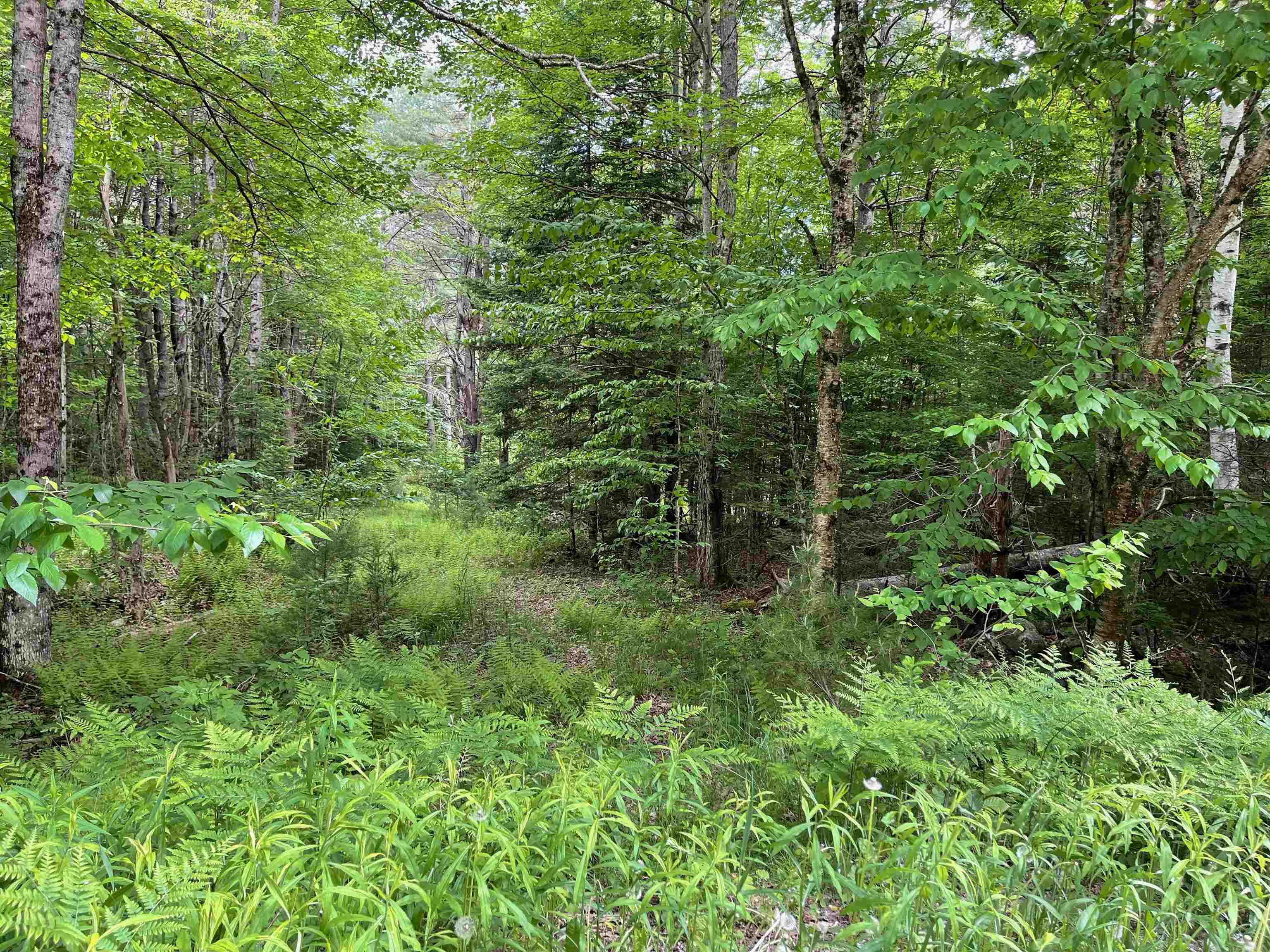 77 Berkshire Road Lisbon, NH 03585 - Photo 2 of 2