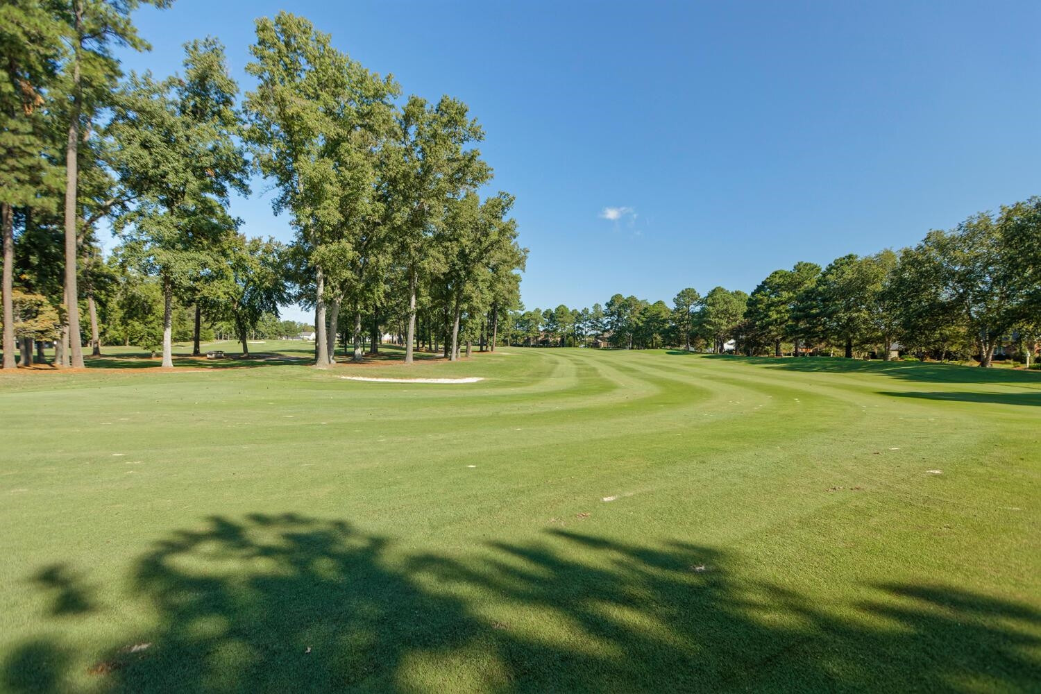 6520 Old Mills Road Fuquay-Varina, NC 27526 - Photo 77 of 100 Photo 77