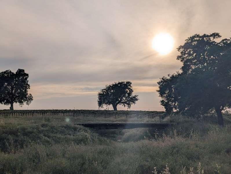 14100 Liberty Road Acampo, CA 95220 - Photo 11 of 17