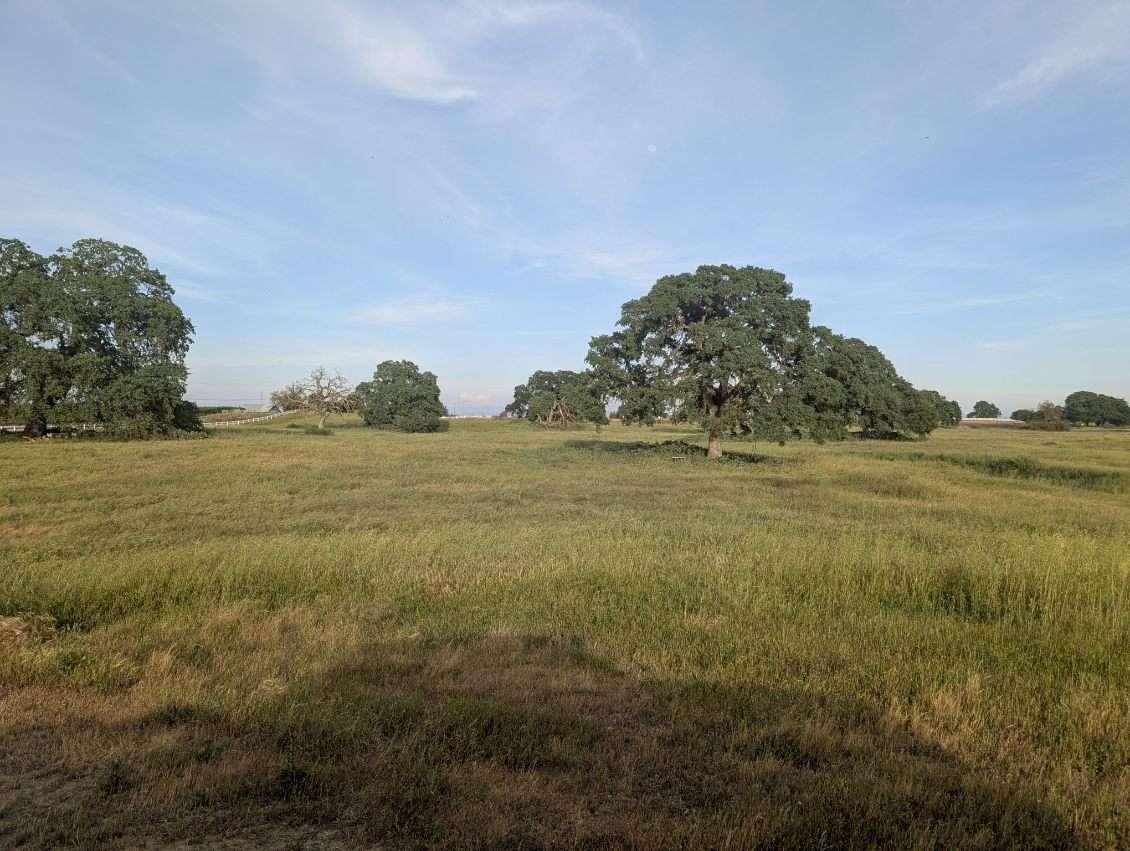 14100 Liberty Road Acampo, CA 95220 - Photo 12 of 17