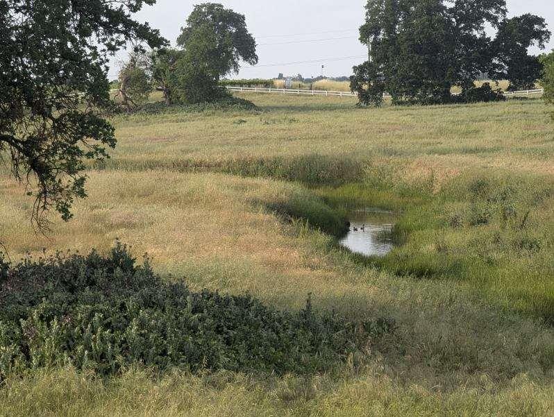 14100 Liberty Road Acampo, CA 95220 - Photo 14 of 17