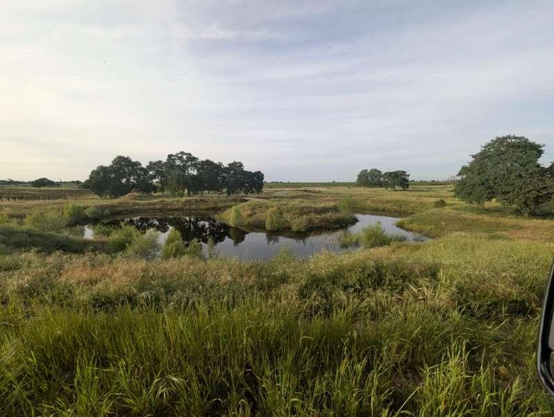 14100 Liberty Road Acampo, CA 95220 - Photo 15 of 17