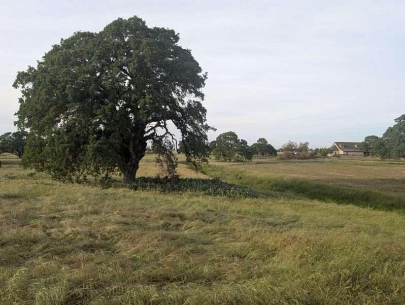 14100 Liberty Road Acampo, CA 95220 - Photo 2 of 17
