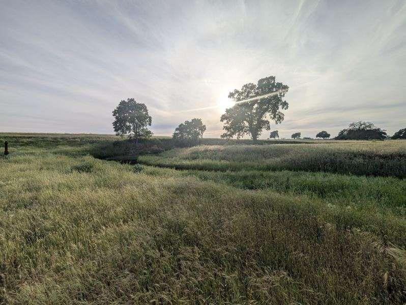 14100 Liberty Road Acampo, CA 95220 - Photo 3 of 17