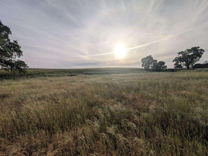 14100 Liberty Road Acampo, CA 95220 - Photo 4 of 17