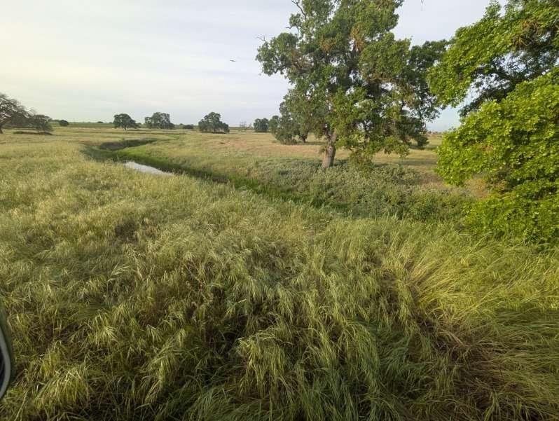 14100 Liberty Road Acampo, CA 95220 - Photo 5 of 17