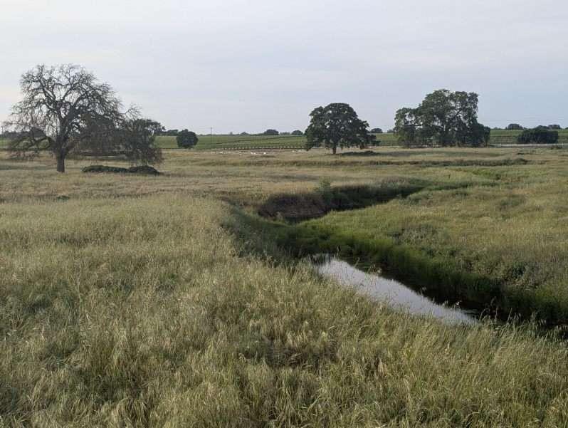 14100 Liberty Road Acampo, CA 95220 - Photo 7 of 17