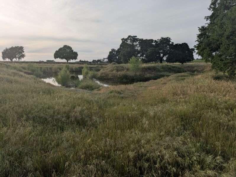 14100 Liberty Road Acampo, CA 95220 - Photo 8 of 17