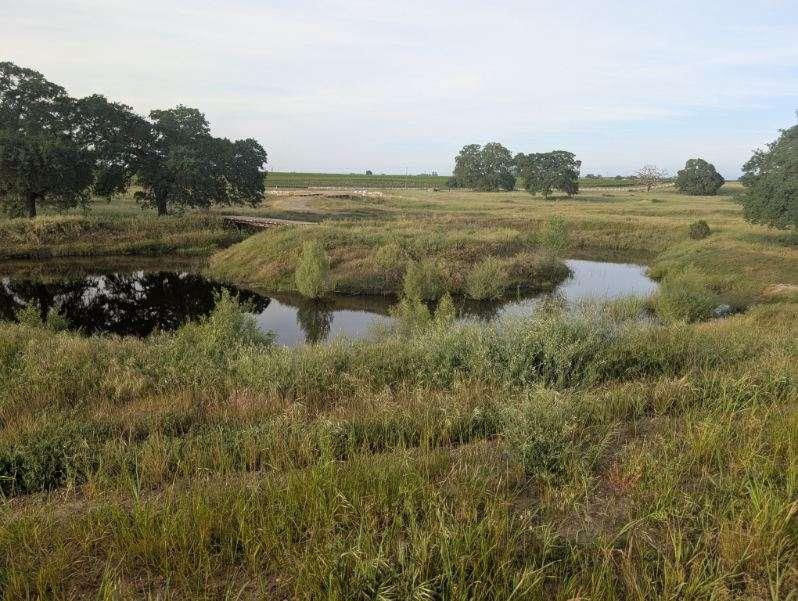 14100 Liberty Road Acampo, CA 95220 - Photo 9 of 17