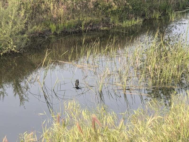 14100 Liberty Road Acampo, CA 95220 - Photo 10 of 17