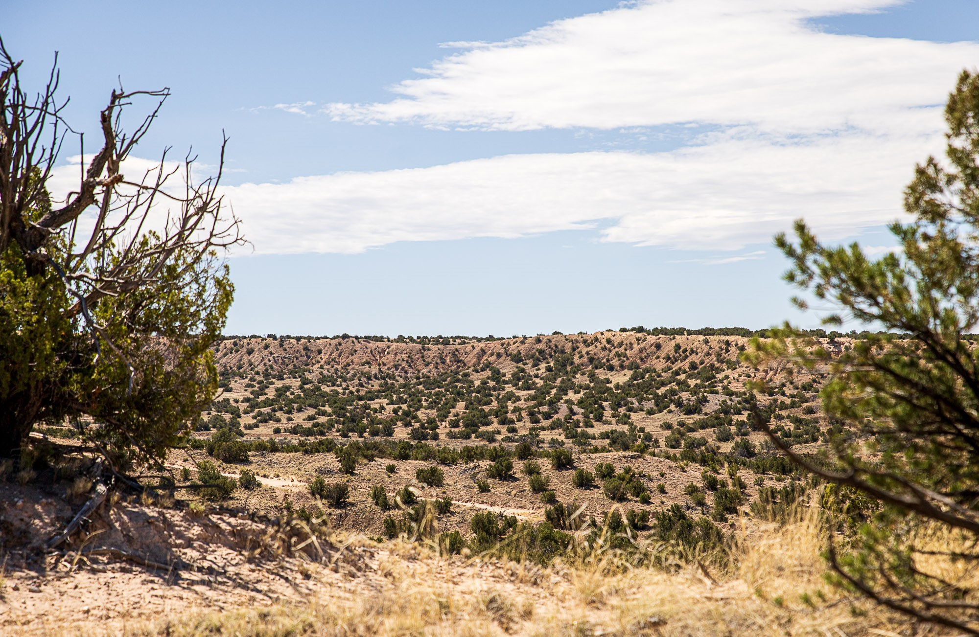 0 El Rito Estates Abiquiu, NM 87510 - Photo 16 of 56