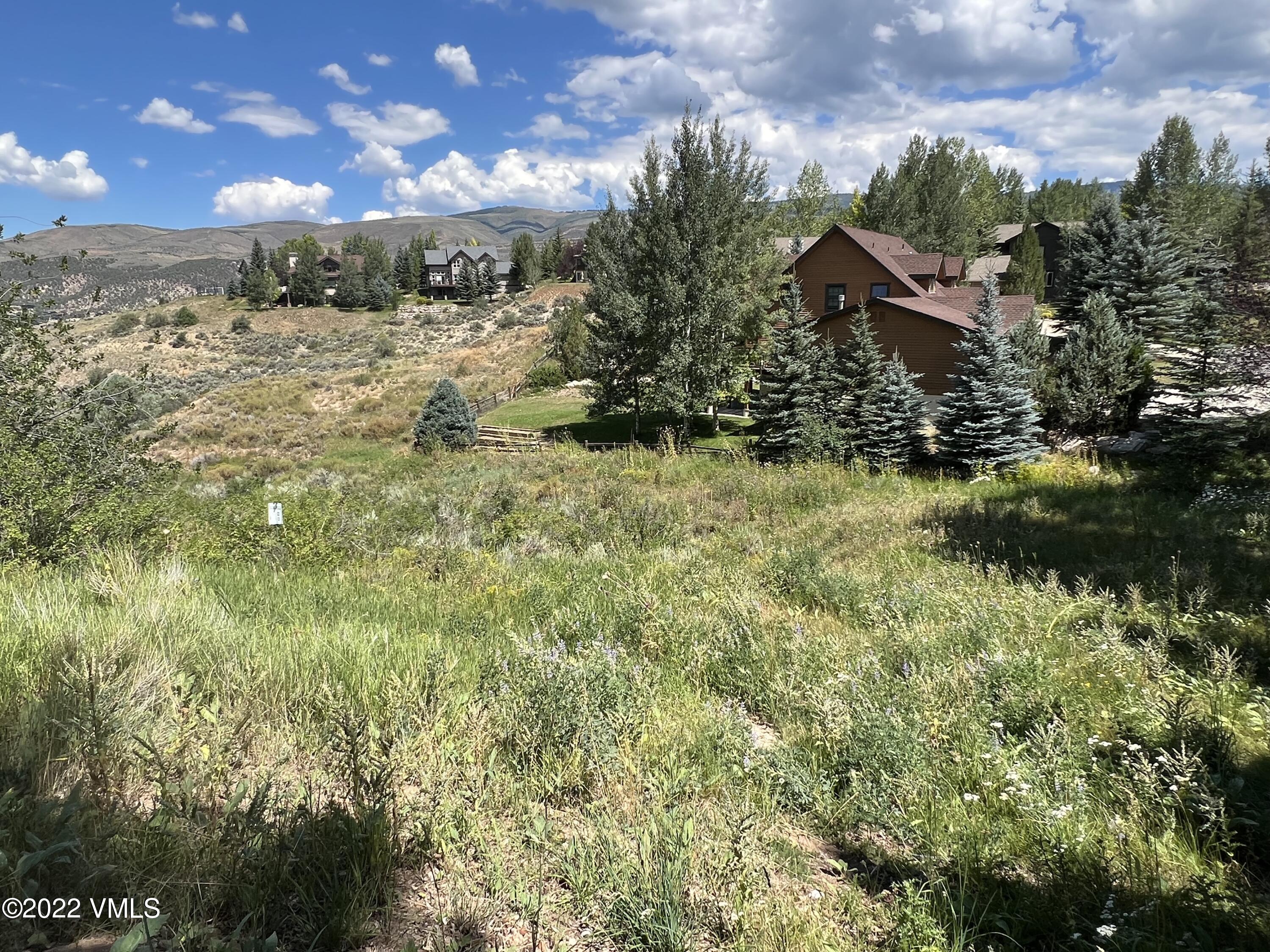 237 Remington Trail Edwards, CO 81632 - Photo 18 of 19 a view of a yard with a house in the background