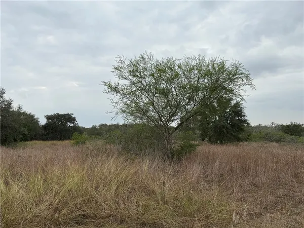 $99,900 | 0 Cherry, Beeville, TX 78102