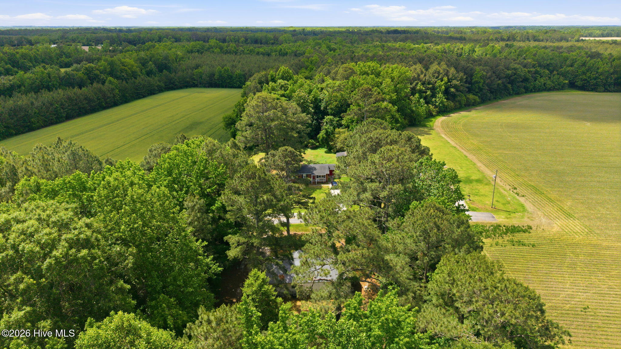 204 West John Thompson Road Colerain, NC 27924 - Photo 45 of 50 12-web-or-mls-DJI_20260513112756_0209_D