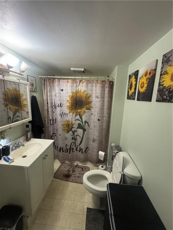 444 East Washington Street Rochester, PA 15074 - Photo 16 of 33 a bathroom with a sink a toilet and shower