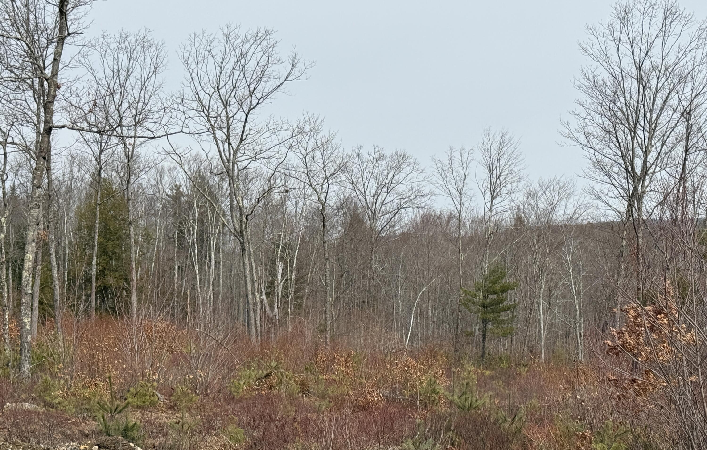 Lot A8 West Road Waterboro, ME 04087 - Photo 2 of 6 IMG_1735 (002)