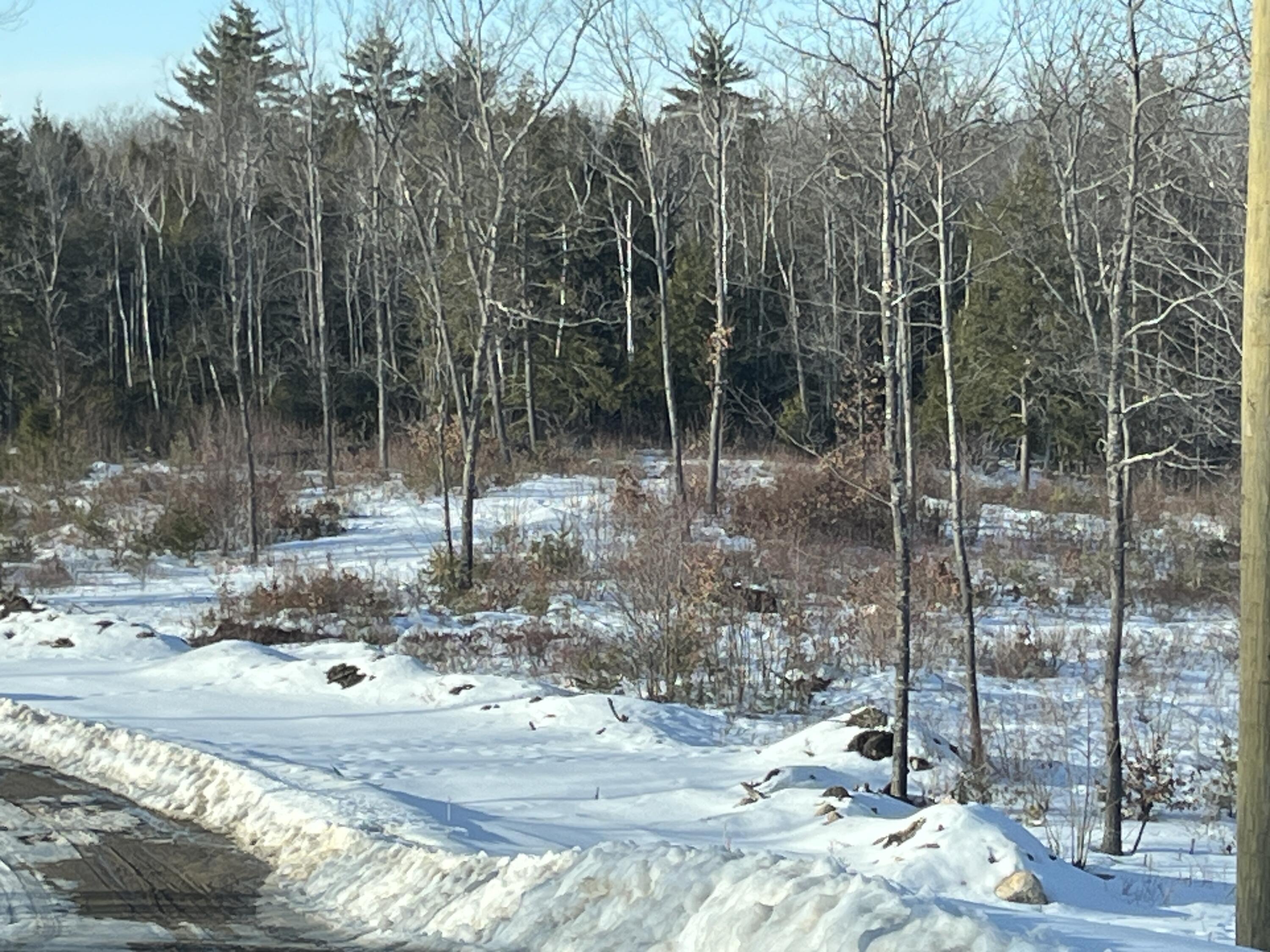 Lot A8 West Road Waterboro, ME 04087 - Photo 4 of 6 IMG_0725