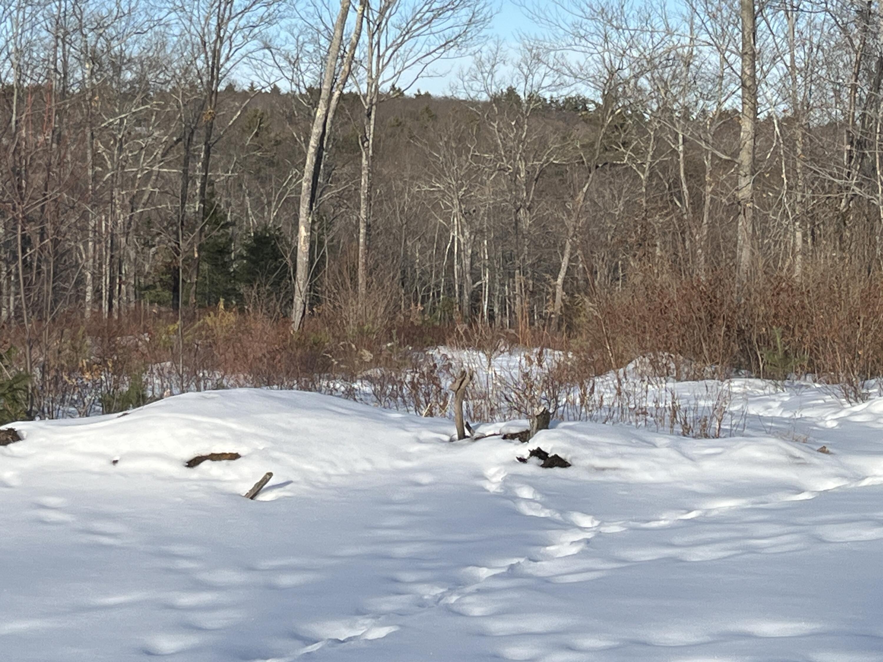 Lot A8 West Road Waterboro, ME 04087 - Photo 5 of 6 IMG_0726